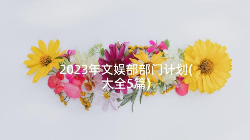 2023年文娱部部门计划(大全5篇)
