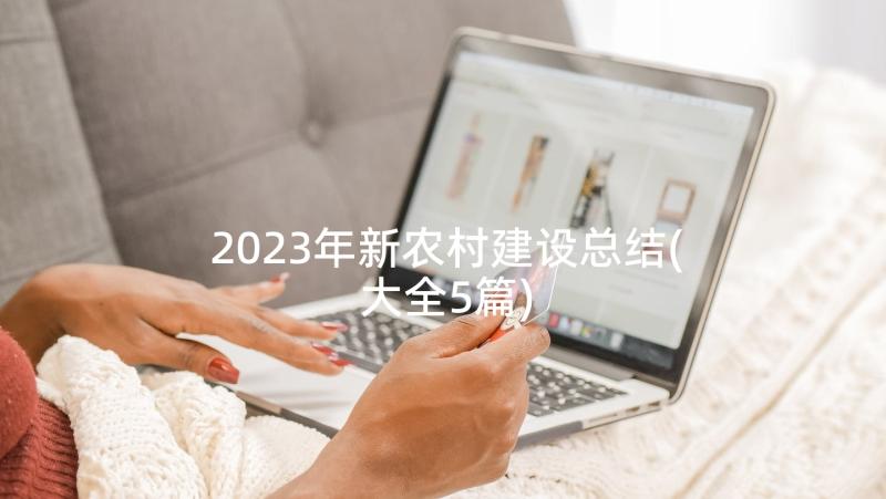 2023年新农村建设总结(大全5篇)