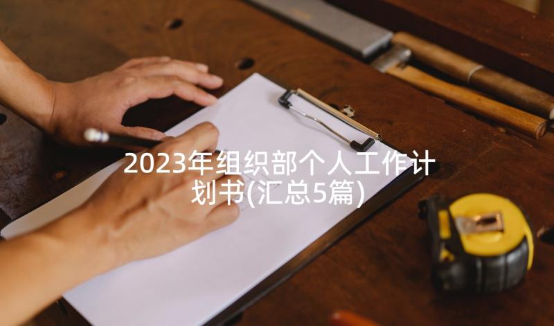 2023年组织部个人工作计划书(汇总5篇)