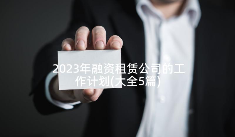 2023年融资租赁公司的工作计划(大全5篇)