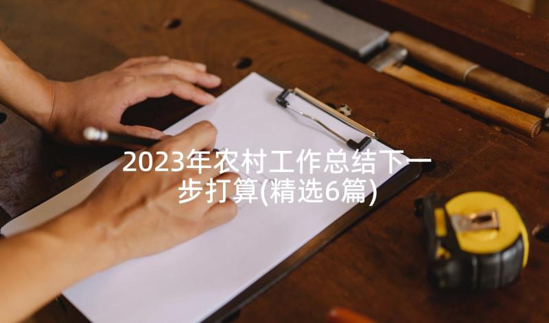 2023年农村工作总结下一步打算(精选6篇)