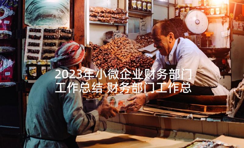 2023年小微企业财务部门工作总结 财务部门工作总结(通用8篇)