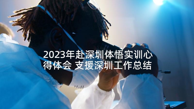 2023年赴深圳体悟实训心得体会 支援深圳工作总结(优质7篇)
