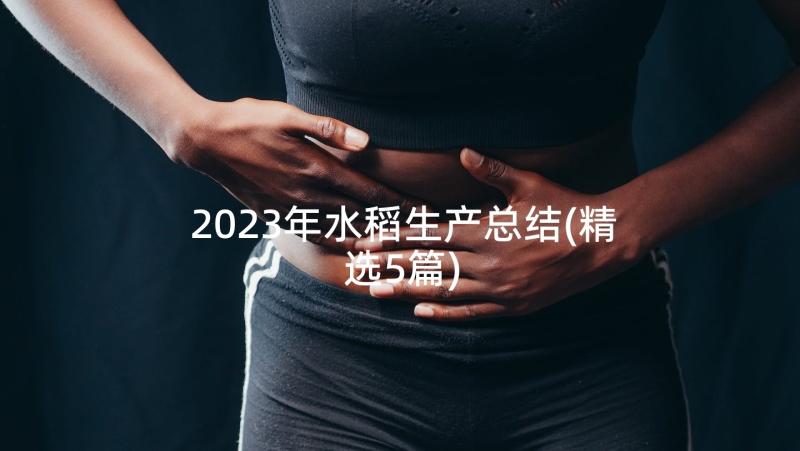2023年水稻生产总结(精选5篇)
