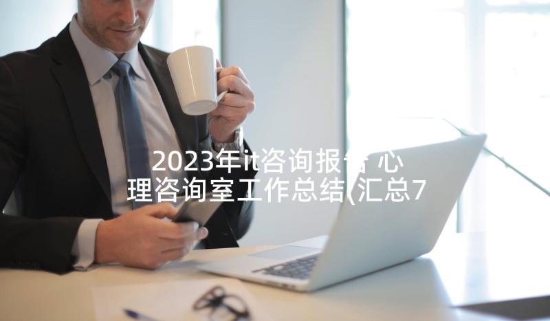 2023年it咨询报告 心理咨询室工作总结(汇总7篇)