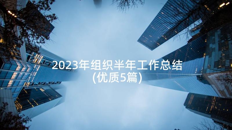 2023年组织半年工作总结(优质5篇)