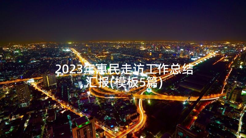 2023年惠民走访工作总结汇报(模板5篇)