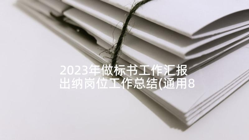 2023年做标书工作汇报 出纳岗位工作总结(通用8篇)