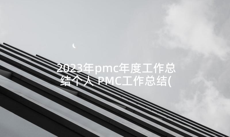 2023年pmc年度工作总结个人 PMC工作总结(优质6篇)