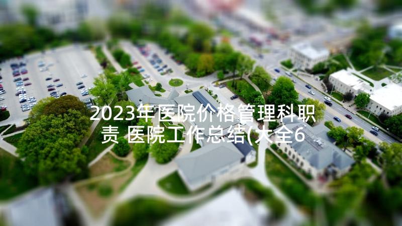 2023年医院价格管理科职责 医院工作总结(大全6篇)