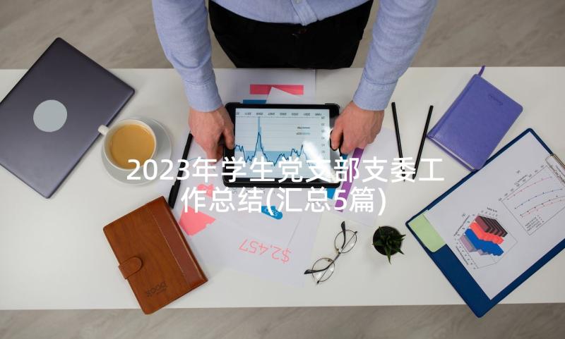 2023年学生党支部支委工作总结(汇总5篇)