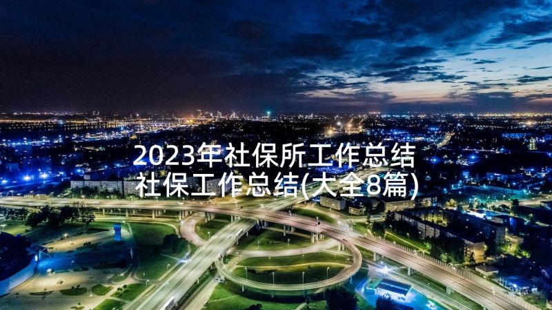 2023年社保所工作总结 社保工作总结(大全8篇)