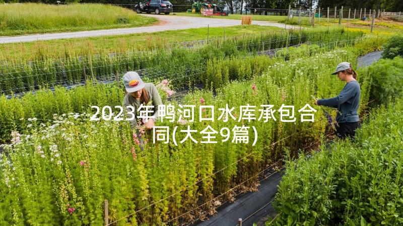 2023年鸭河口水库承包合同(大全9篇)