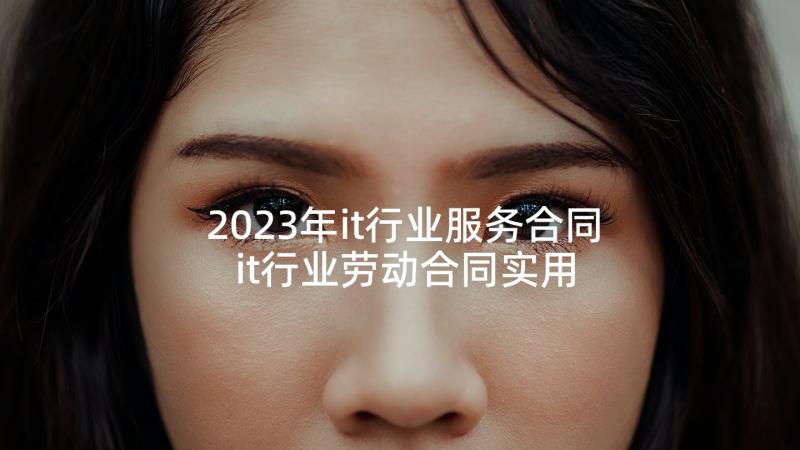 2023年it行业服务合同 it行业劳动合同实用
