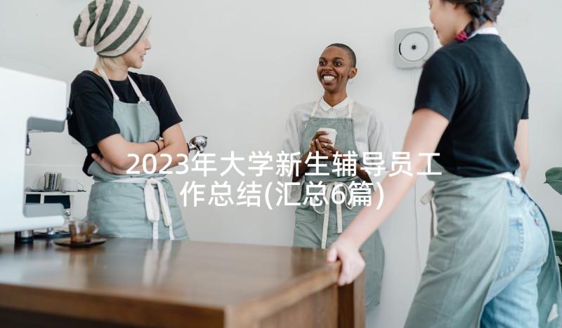 2023年大学新生辅导员工作总结 新生辅导员工作总结(精选6篇)