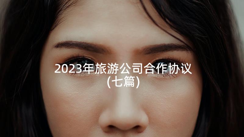 2023年旅游公司合作协议(七篇)