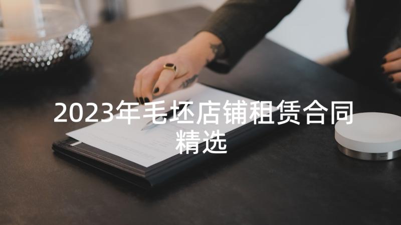 2023年毛坯店铺租赁合同精选