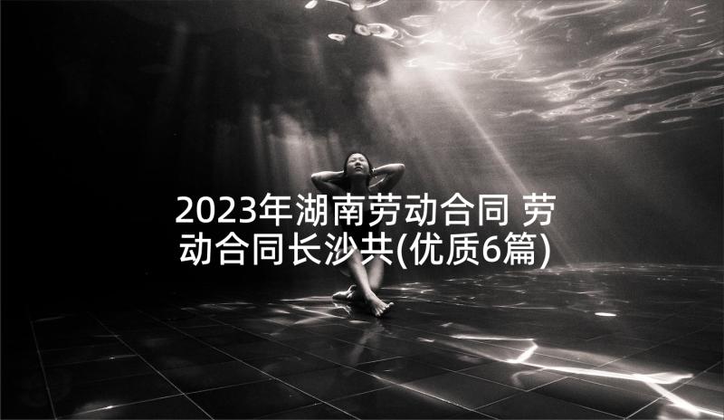 2023年湖南劳动合同 劳动合同长沙共(优质6篇)