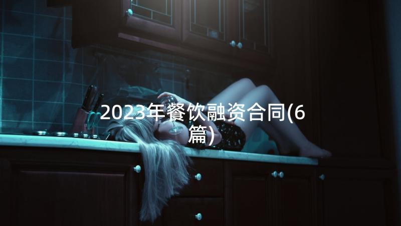 2023年餐饮融资合同(6篇)