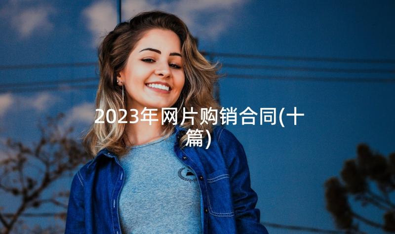 2023年网片购销合同(十篇)