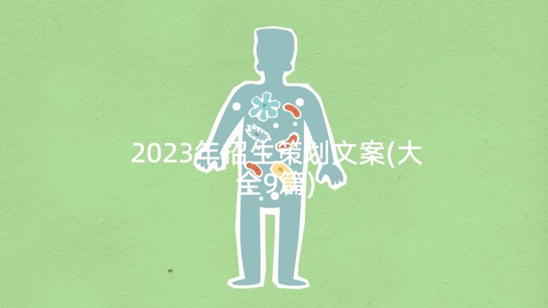 2023年招生策划文案(大全9篇)
