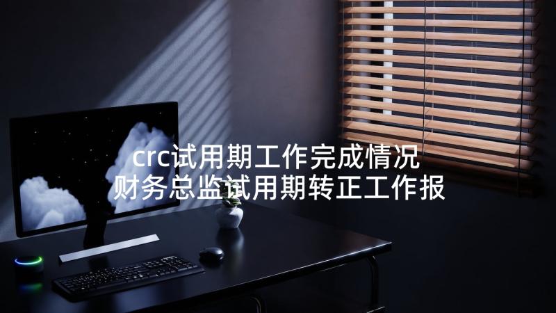 crc试用期工作完成情况 财务总监试用期转正工作报告