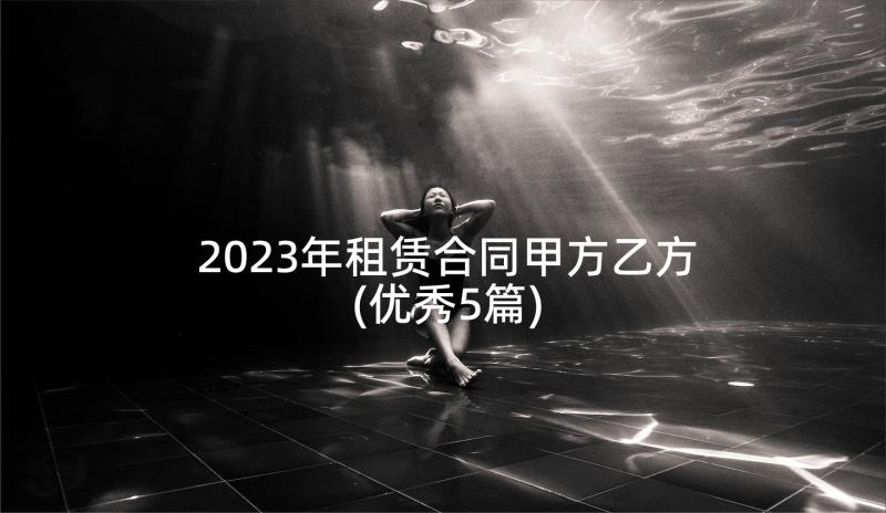 2023年租赁合同甲方乙方(优秀5篇)
