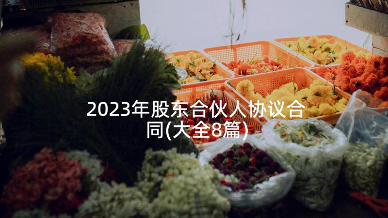 2023年股东合伙人协议合同(大全8篇)