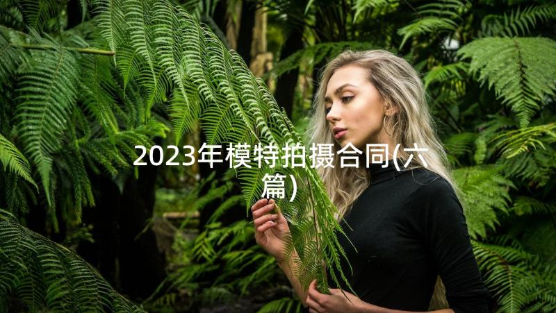 2023年模特拍摄合同(六篇)