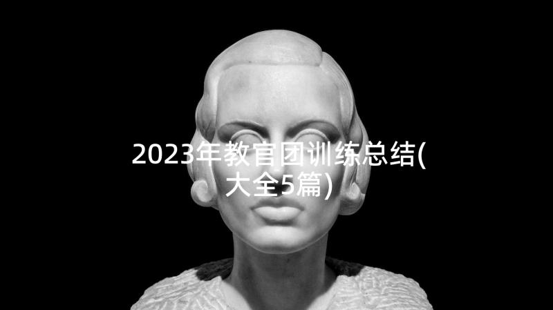 2023年教官团训练总结(大全5篇)