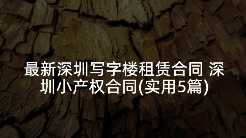 最新深圳写字楼租赁合同 深圳小产权合同(实用5篇)