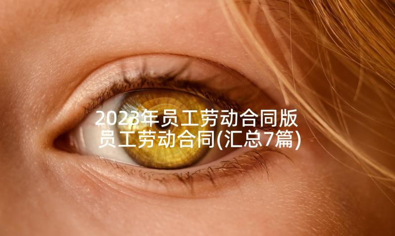 2023年员工劳动合同版 员工劳动合同(汇总7篇)