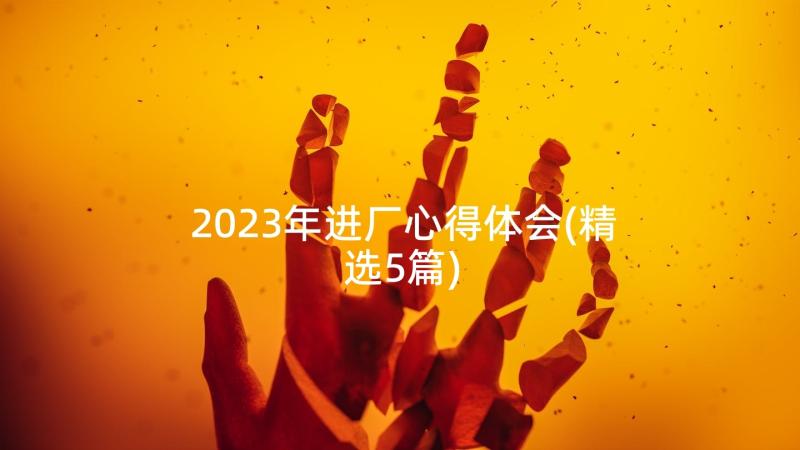 2023年进厂心得体会(精选5篇)