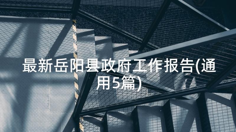 最新岳阳县政府工作报告(通用5篇)