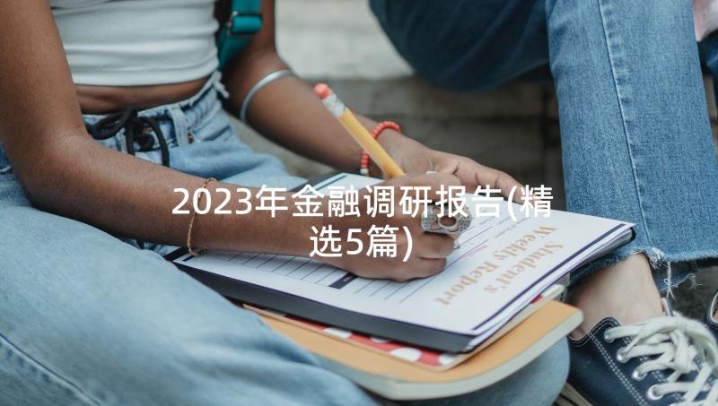 2023年金融调研报告(精选5篇)