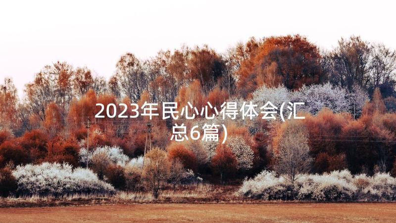 2023年民心心得体会(汇总6篇)