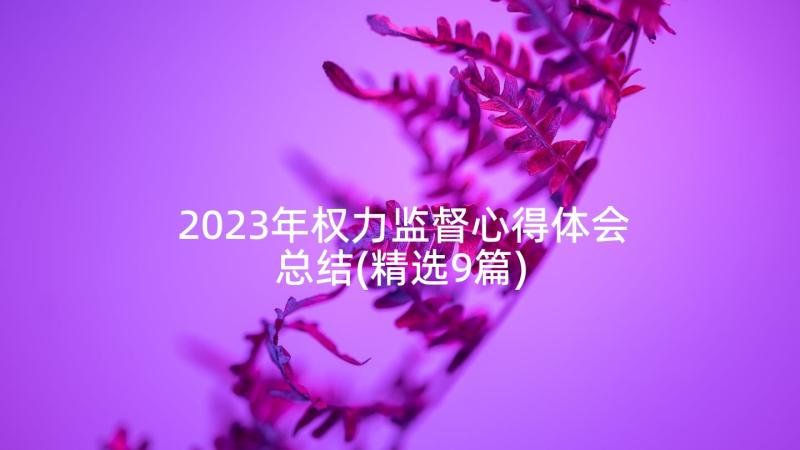 2023年权力监督心得体会总结(精选9篇)