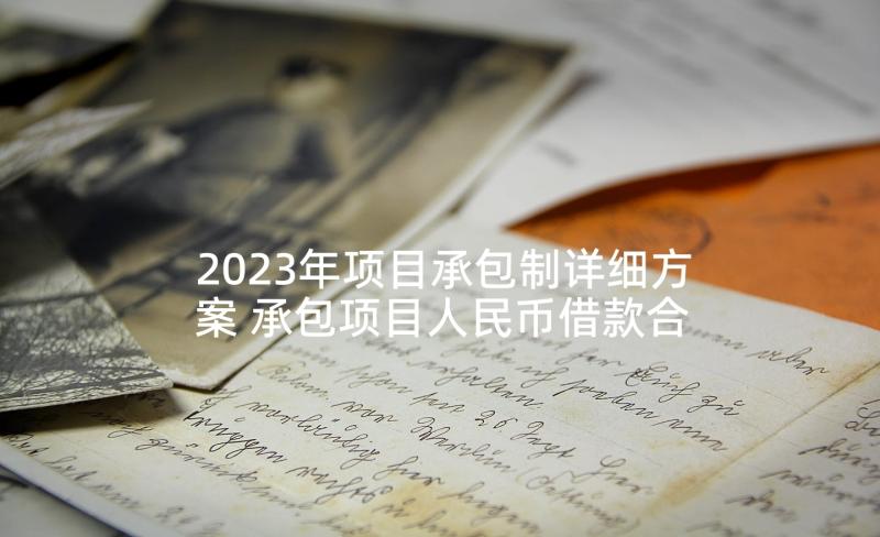 2023年项目承包制详细方案 承包项目人民币借款合同(汇总7篇)