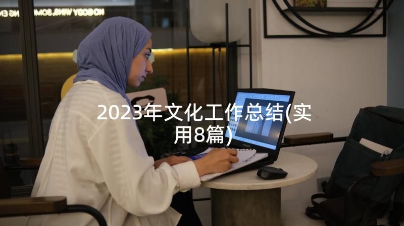 2023年文化工作总结(实用8篇)
