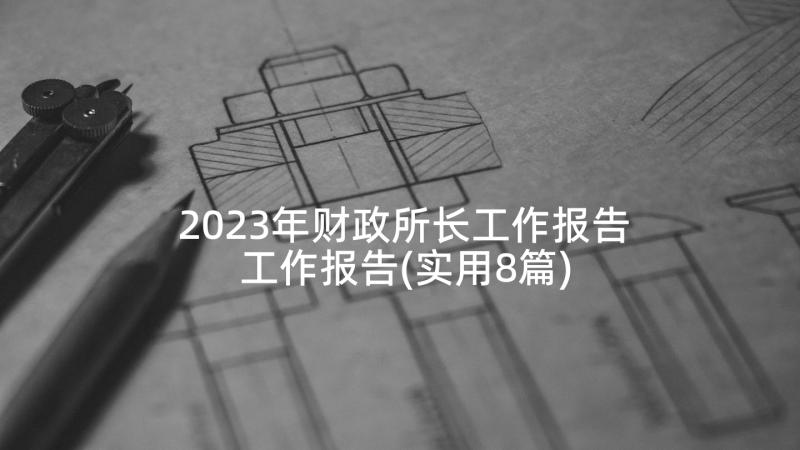 2023年财政所长工作报告 工作报告(实用8篇)