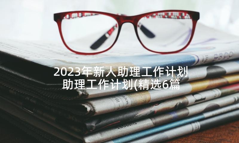 2023年新人助理工作计划 助理工作计划(精选6篇)