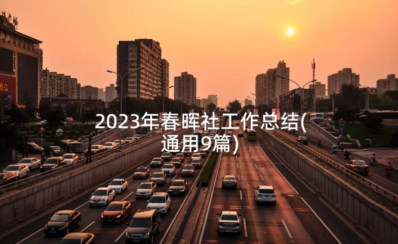 2023年春晖社工作总结(通用9篇)