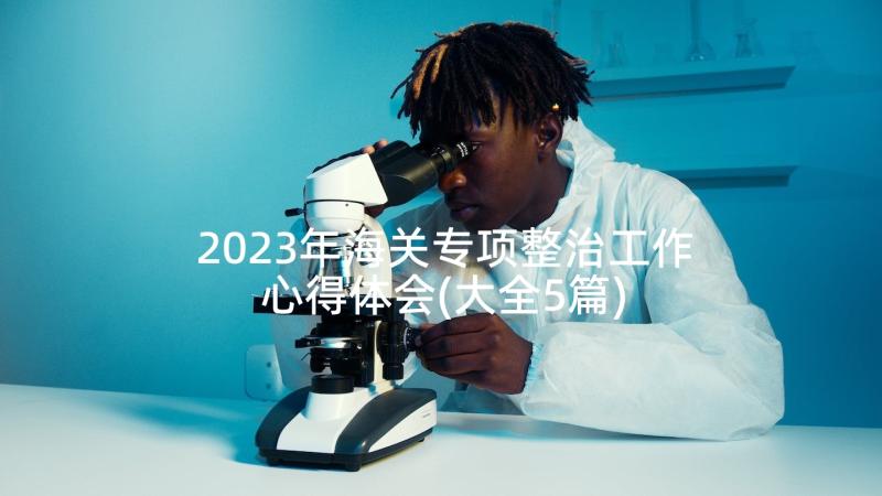 2023年海关专项整治工作心得体会(大全5篇)