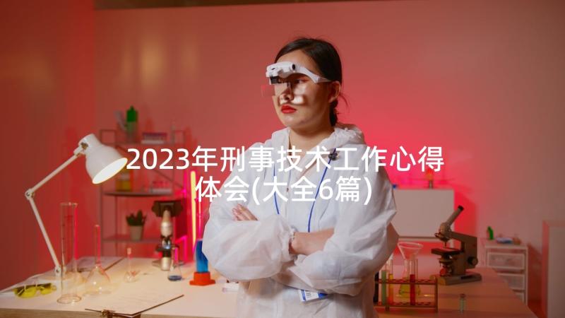 2023年刑事技术工作心得体会(大全6篇)