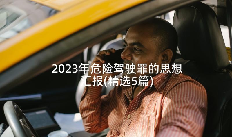 2023年危险驾驶罪的思想汇报(精选5篇)
