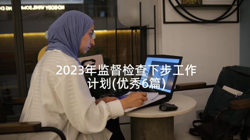 2023年监督检查下步工作计划(优秀6篇)