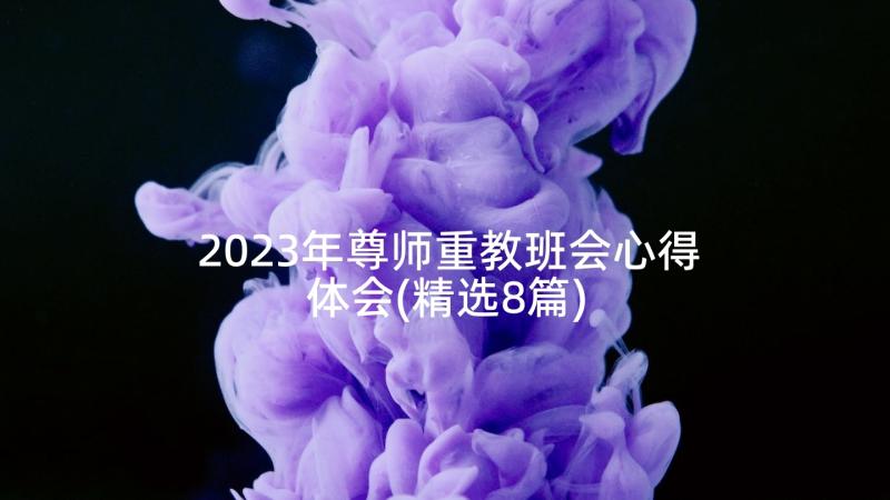 2023年尊师重教班会心得体会(精选8篇)
