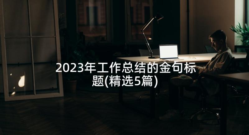 2023年工作总结的金句标题(精选5篇)