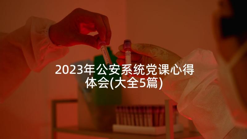 2023年公安系统党课心得体会(大全5篇)