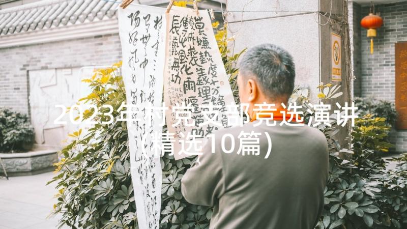 2023年村党支部竞选演讲(精选10篇)